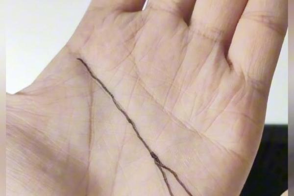 成语接龙：从“命”字谈起，探索人生的奥秘与智慧