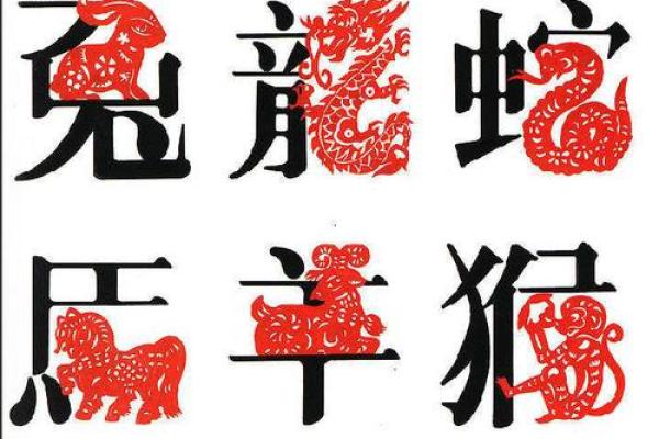 生肖与寿命：哪个动物命最短？探索岁月的秘密