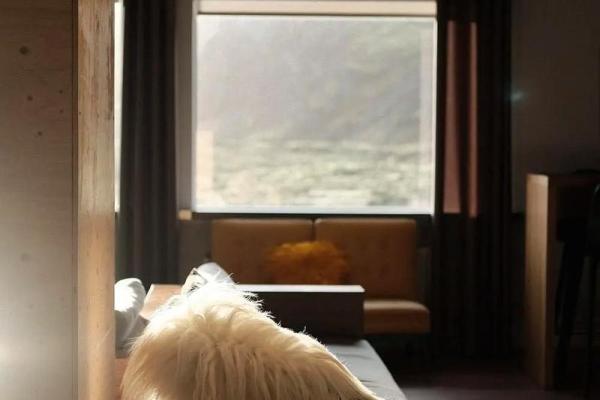 解密童子命：命理中的纯真与天赋之道