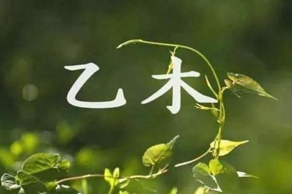 探寻1993年5月3日出生者的命运与性格特征