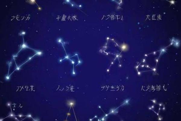 2024属兔之年：解密兔年命理与幸福生活的双重轨迹