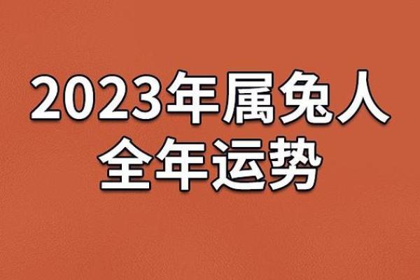 2024属兔之年：解密兔年命理与幸福生活的双重轨迹