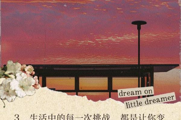 1996年牛命：机遇与挑战并存的人生旅程