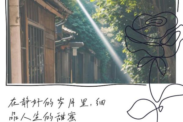 根据什么命什么字的成语,探秘人生的智慧与奥秘 根据什么命什么字的成语,探秘人生的智慧与奥秘