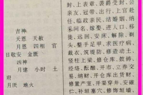 解密2026丙午：属于火的命运与激情之旅