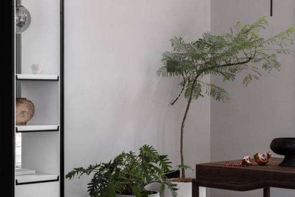 土命方位:在不同时空中寻找内心的宁静与力量 土命方位:在不同时空中寻找内心的宁静与力量