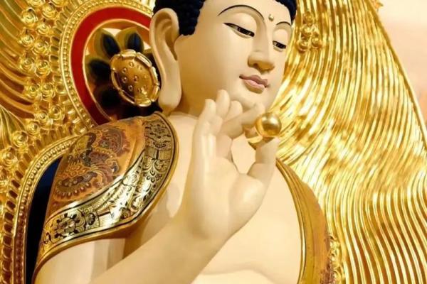 属鸡人的命理解析：探索命缺与富贵之道