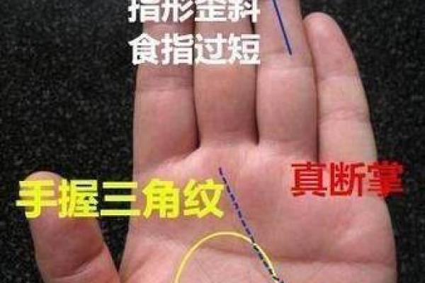 手相解密:揭示哪些手相特征的人最容易贫穷 手相解密:揭示哪些手相特征的人最容易贫穷