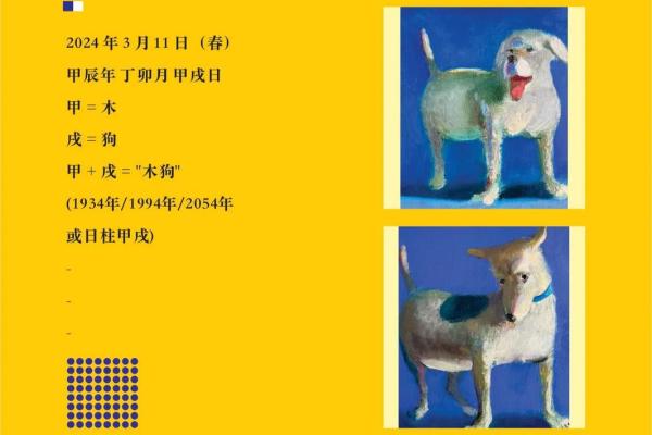 1934年出生的人：属狗命，探秘他们的性格与命运