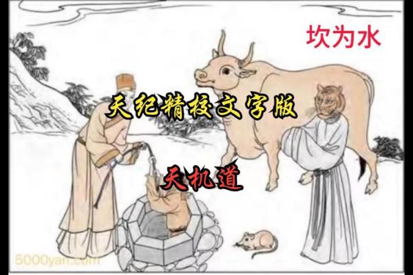 水命人最适合学习的技术与职业发展之道