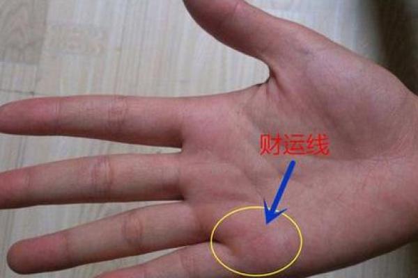 水命女性与财富的完美结合:解密命理中的财运搭配 水命女性与财富的完美结合:解密命理中的财运搭配