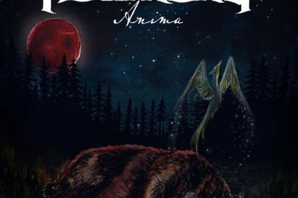 丑牛1998：独特命运与生活哲学的探索之旅