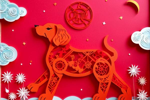 2018年属狗人命运解析：如何把握机会成就人生巅峰！