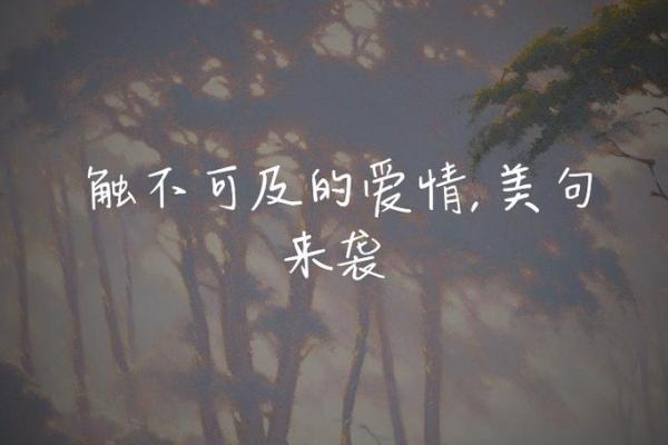 天边的梦想:追逐人生的意义与价值 天边的梦想:追逐人生的意义与价值