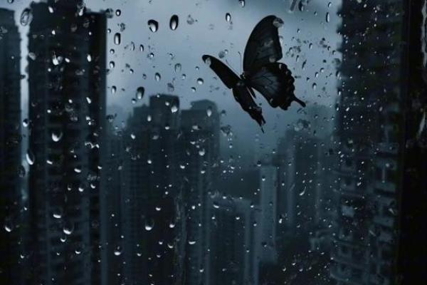 2013年命运走势与人生转折:细数那些改变人生的关键时刻 2013年命运走势与人生转折:细数那些改变人生的关键时刻