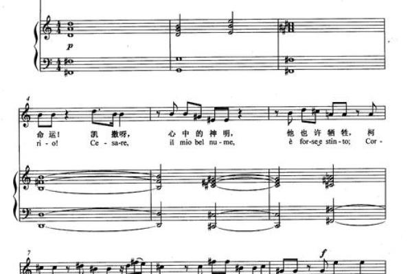 命名的艺术：名字如何决定我们的命运与运势