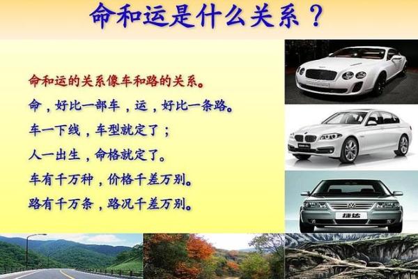 19851205出生的人的命运解析与人生启示 19851205出生的人的命运解析与人生启示