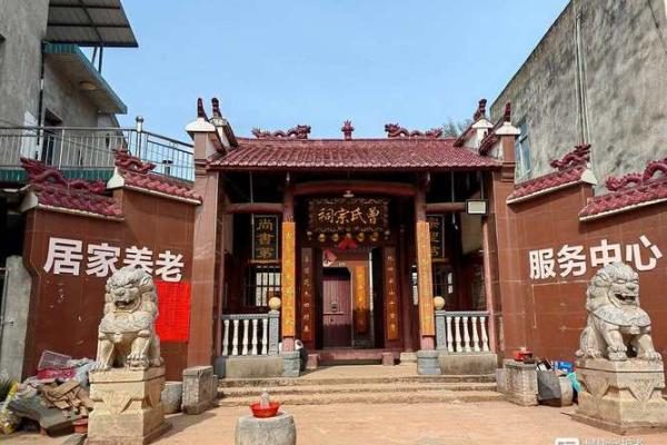 白蜡金命女与最佳配命的完美结合：探寻理想伴侣之路