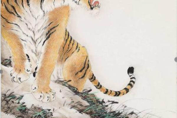 1998年生人何命？探寻生肖虎的神秘与命运