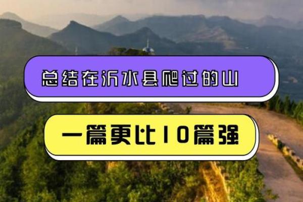 命运之钥：探秘19880812出生者的独特人生旅程