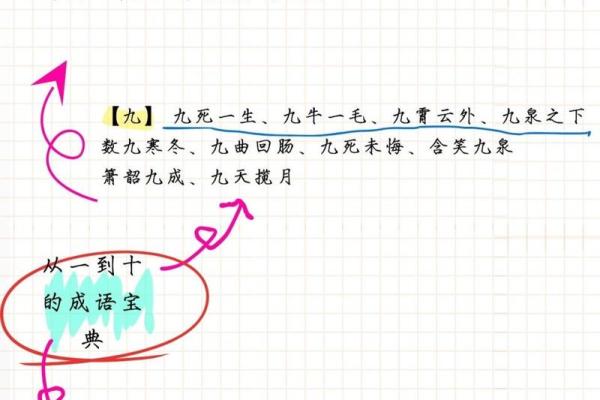 探寻成语的奥秘：智慧与哲理的结晶
