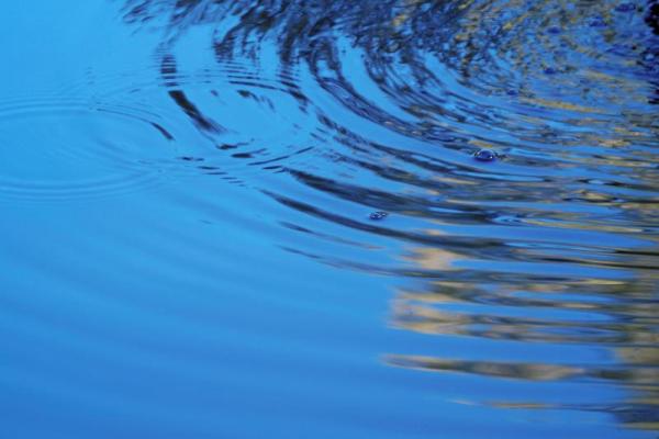 1965年出生的人：命运与人生的奇妙旅程