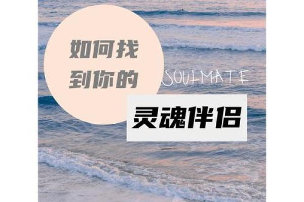 水命与其他命理的婚配探讨:理想伴侣你找到了吗? 水命与其他命理的婚配探讨:理想伴侣你找到了吗?