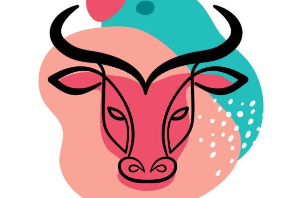 2008年牛年出生的孩子命运与性格解析 2008年牛年出生的孩子命运与性格解析