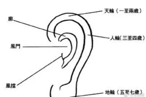 揭示高智商命格的秘密：智力与命运的神秘联系