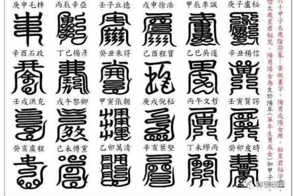 壬午丁未庚子丙子男命的命理解析与生活智慧