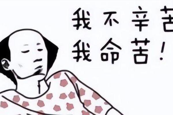 19961210出生的人生之路与命运分析：解读你的未来与机遇