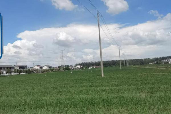 1872年命理探秘：顺势而为的人生选择