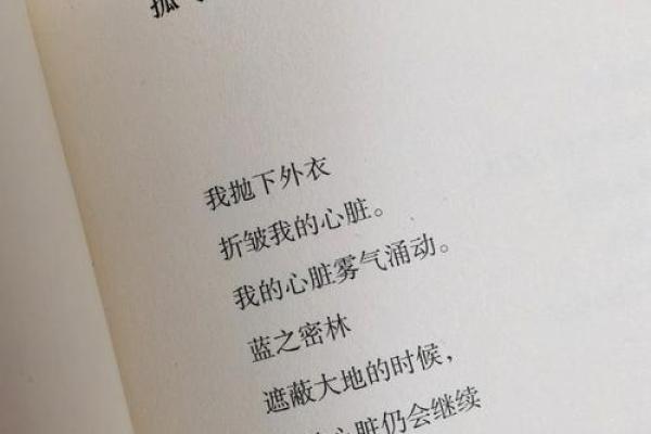 左撇女孩的命运之谜：探索她们独特的生命轨迹与机遇