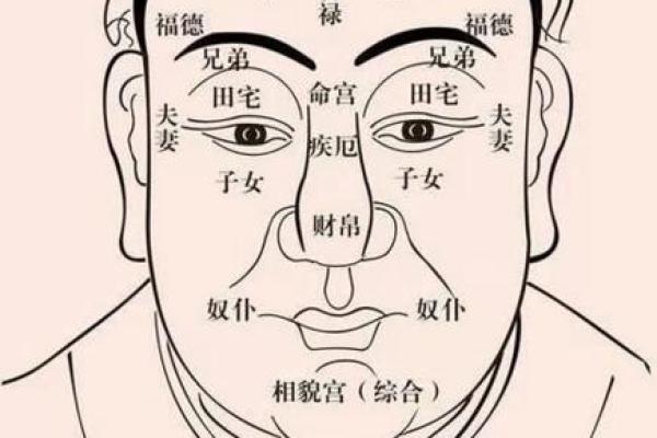 通过婚姻看命运：解读不同婚姻状态与女性命运的关系