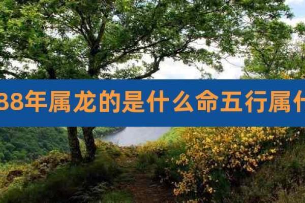 大森木命与哪些命最配？揭秘人生最佳搭配！