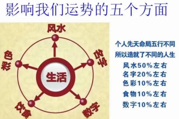 一命与五命的区别解析：命理学中的深刻内涵与应用