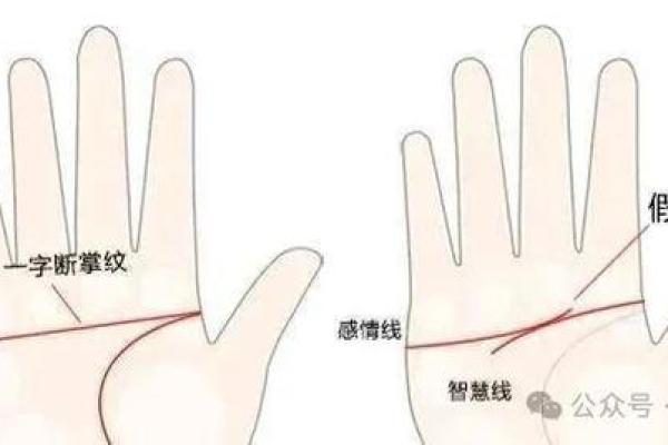 命硬女孩的特征与命运解析:她们的不平凡人生 命硬女孩的特征与命运解析:她们的不平凡人生