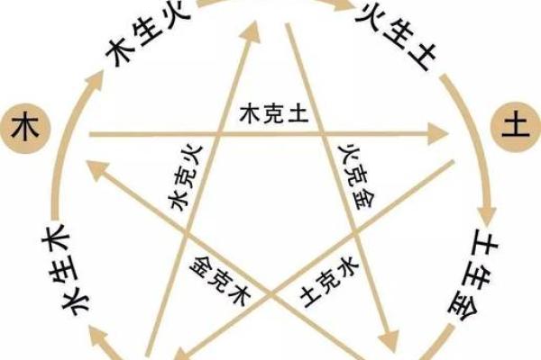 土命的特征与相应属相解析：土的能量与性格的探索