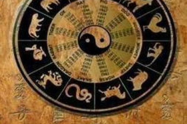 乙亥女命特征分析:揭示命运中的智慧与魅力 乙亥女命特征分析:揭示命运中的智慧与魅力