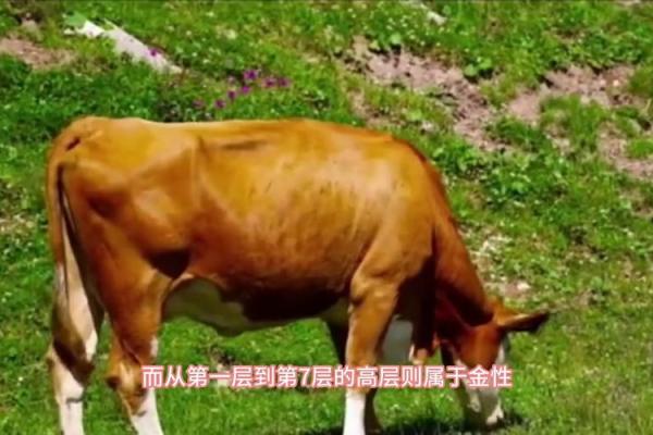 招牌黑底是什么命?探究背后的五行与风水密码! 招牌黑底是什么命?探究背后的五行与风水密码!