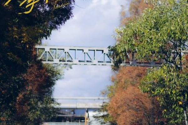 探索3013年命运的奥秘：未来与命运的交织如何改变我们生活