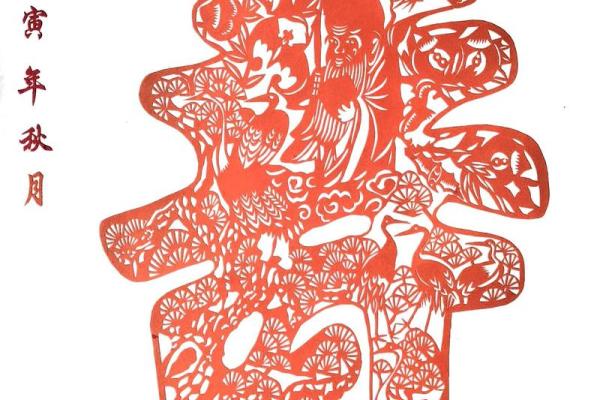 探寻“女人屠夫”背后的真谛与启示