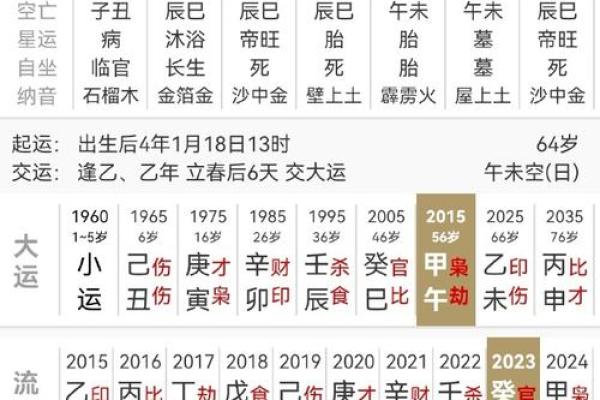 探索甲午命格男人的魅力与智慧：解析其性格与生活特征