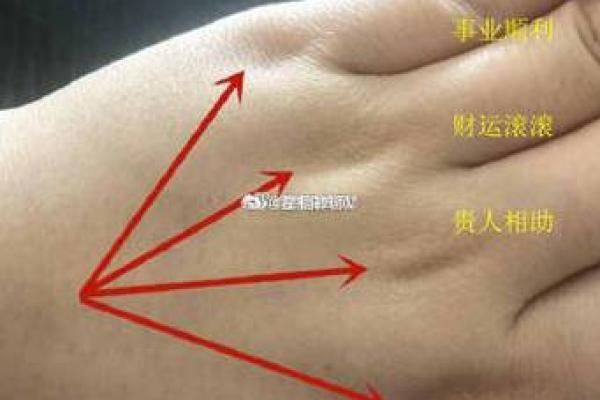 探索甲午命格男人的魅力与智慧：解析其性格与生活特征