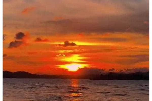 19970316出生的命格解析：运势、性格与人生借鉴