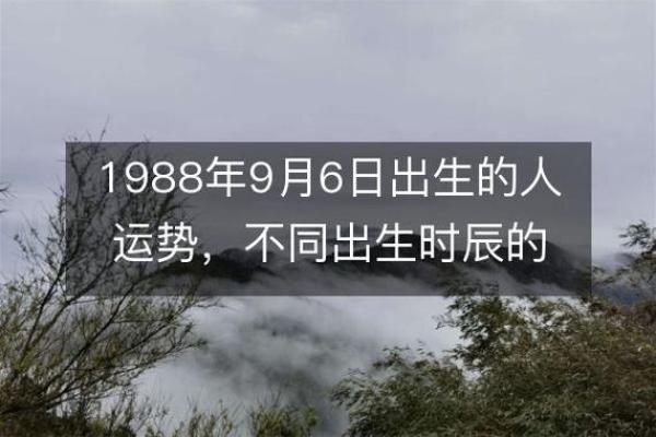 探索1990年5月19日出生者的命运与人生旅程