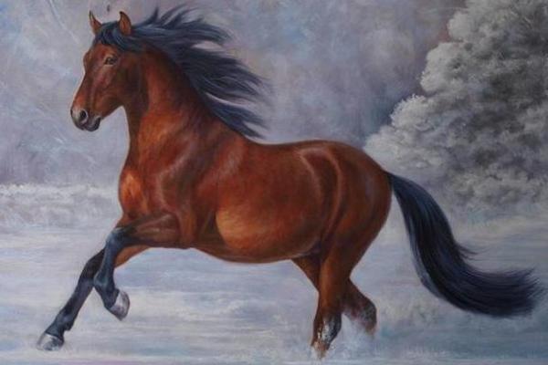 2014年出生的马命及其运势分析与生活智慧