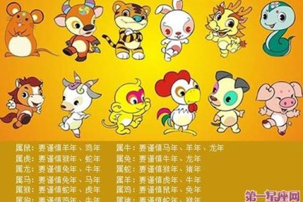 2013年属什么命？探寻生肖和五行的神秘力量