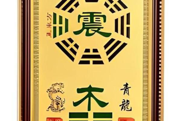 年命与卦命的区别：深入解读古老智慧的魅力