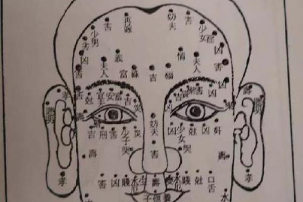 旺大林木命的运势与生活：解读命理之美与智慧